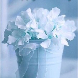 Meet your Posher, Antonia